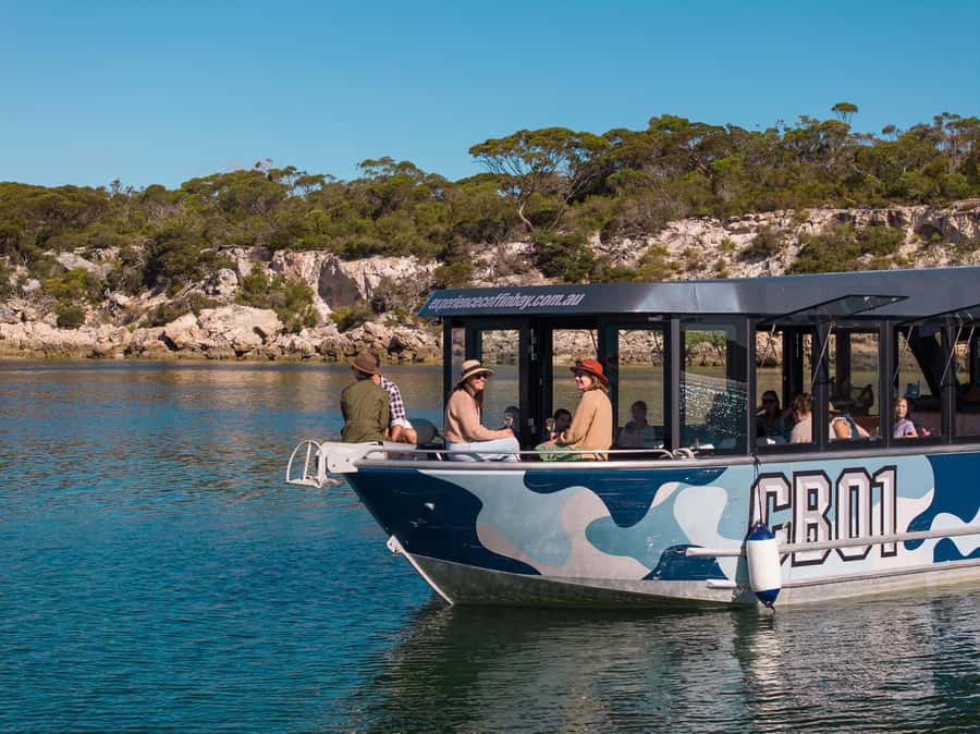 Coffin Bay: Short and Sweet Oyster Farm Tour - Why the Angasi oyster program matters