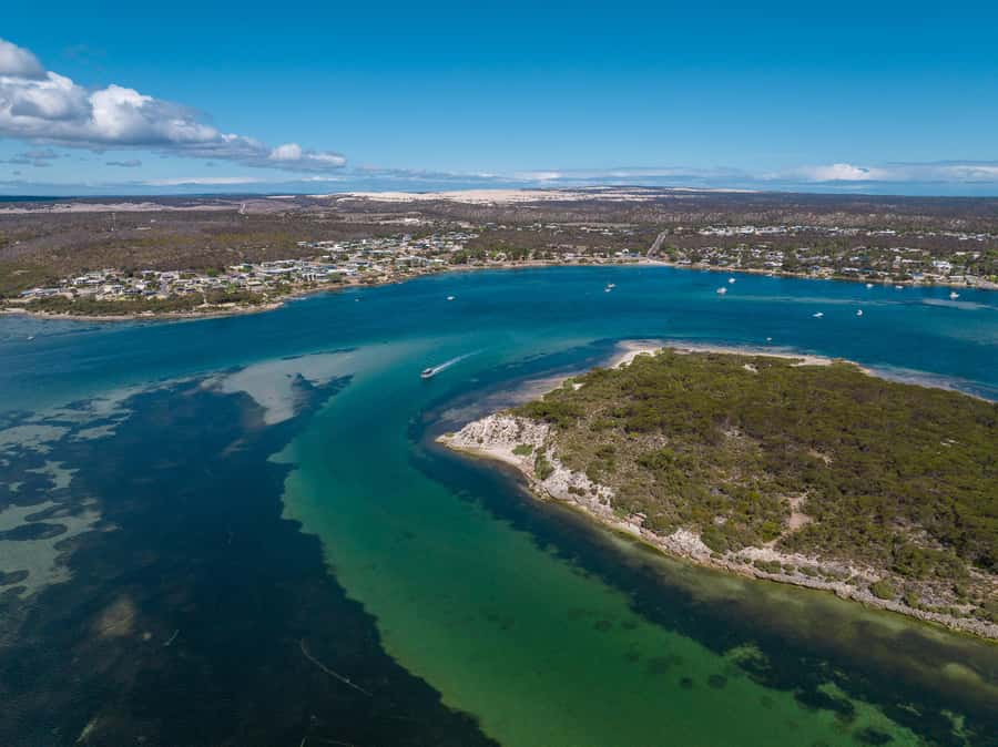 Coffin Bay: Short and Sweet Oyster Farm Tour - Who will enjoy this 90-minute tour?