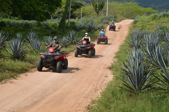 COMBO Zip lines and ATV´s at Hacienda Los Osuna - Starting among Los Osuna’s old agave fields