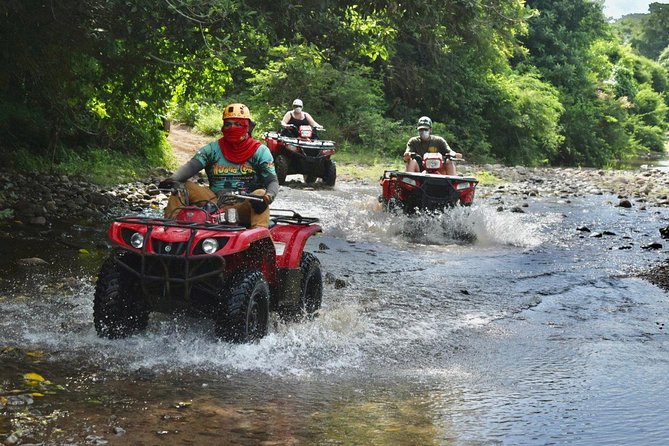 COMBO Zip lines and ATV´s at Hacienda Los Osuna - Eight zip lines through the Sinaloa dry forest
