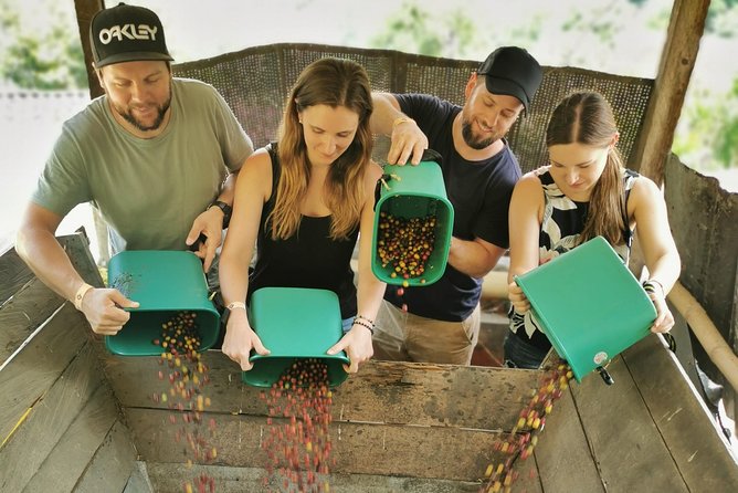 Comuna 13 & Coffee Farm Private Tour in Medellin | The Best Combo - Why this pairing works so well