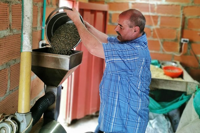 Comuna 13 & Coffee Farm Private Tour in Medellin | The Best Combo - From coffee seed to roasted bean