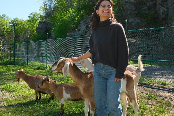 Connect with Rescue Animals on a Private Farm Tour in Catskills - Meeting the residents of a 30-acre Catskills sanctuary