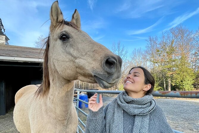 Connect with Rescue Animals on a Private Farm Tour in Catskills - Why the rescue stories matter