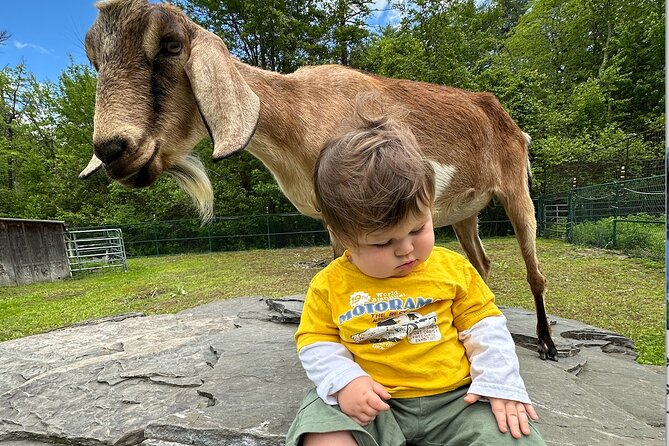 Connect with Rescue Animals on a Private Farm Tour in Catskills - A good choice for families with young children