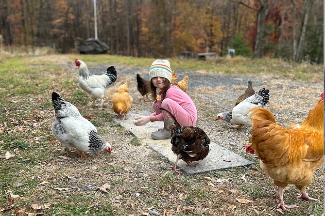 Connect with Rescue Animals on a Private Farm Tour in Catskills - A peaceful stop for couples and adult animal lovers