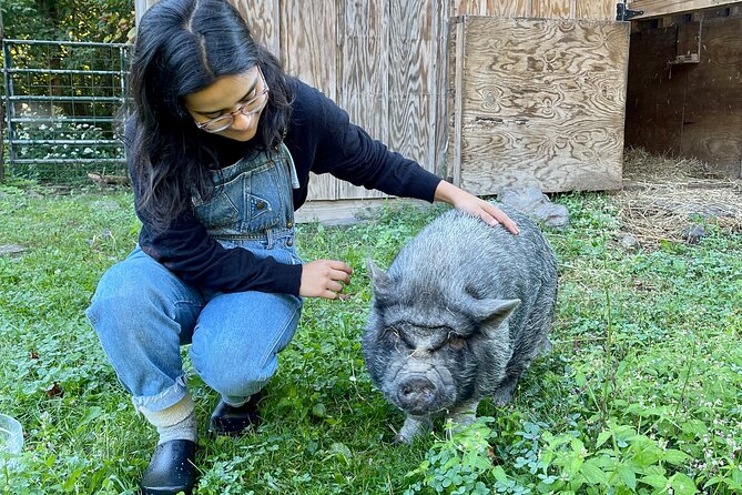 Connect with Rescue Animals on a Private Farm Tour in Catskills - Practical details that can shape your visit