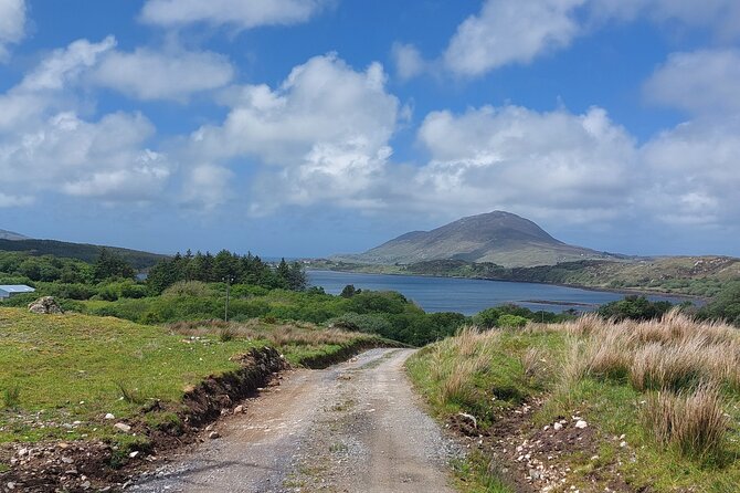 Connemara Sheep Farm experience & Kylemore Abbey by Lux Limousine - Carraroe, Spiddal and the Wild Atlantic Way