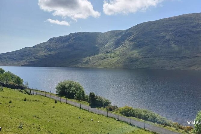 Connemara Sheep Farm experience & Kylemore Abbey by Lux Limousine - Life at Killary Sheep Farm