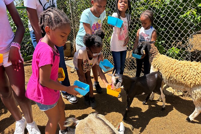 Connors Farms Petting Zoo - Who Will Enjoy This Most?