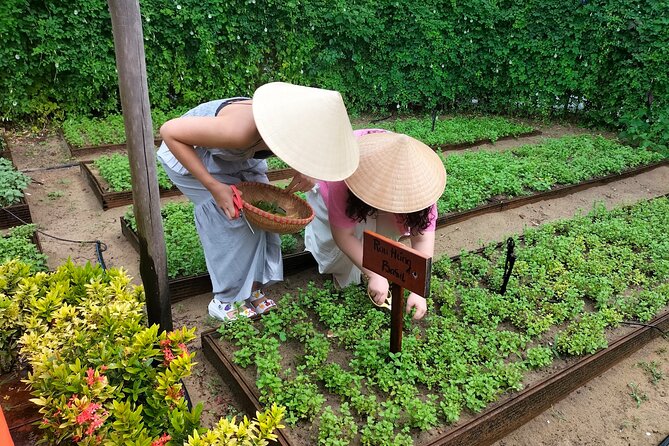 Cooking Class Hoi An - Organic Garden - Farming Tour-Handicrafts - Cooking 3 to 4 Vietnamese dishes