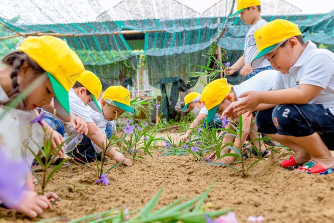 Cooking Class Hoi An - Organic Garden - Farming Tour-Handicrafts - The rice paper lesson is worth your time