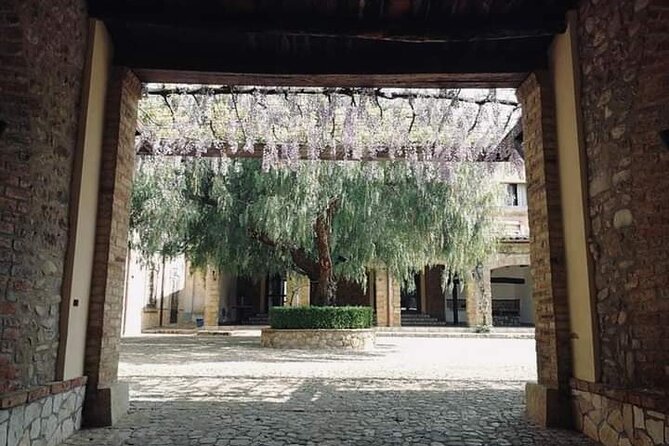 Cooking Class in a historic sicilian farmhouse - A break by the pool and time outside
