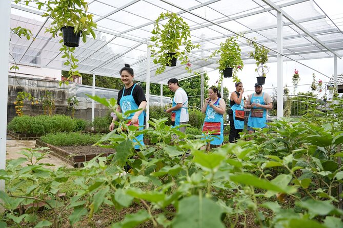 Cooking Class with Organic Farm in Chiang Mai at Mama Noi - From Chiang Mai hotel to local market