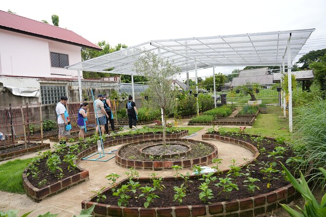 Cooking Class with Organic Farm in Chiang Mai at Mama Noi - Mama Noi’s organic garden