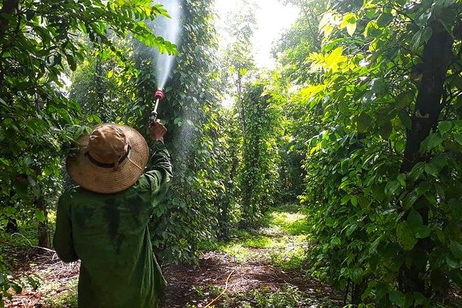 Cooking, Farming and Waterfall In Vietnam Countryside - A coffee day that reaches beyond Buon Ma Thuot