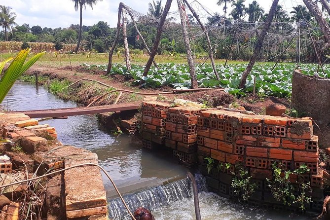 Cooking, Farming and Waterfall In Vietnam Countryside - Transplanting coffee and learning the harvest