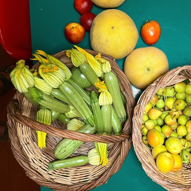 Corfu: Organic Olive Oil Farm Tour with Transfer and Tasting - Key points to know before booking