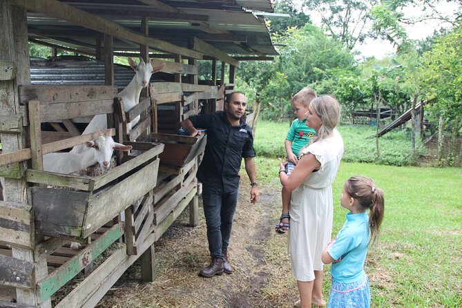 Costa Rica Descents Organic Farm - Key points to know before you book