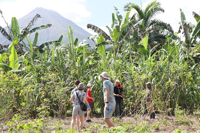 Costa Rica Descents Organic Farm - Who will get the most from this farm tour?