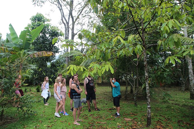 Costa Rica Descents Organic Farm - Following the crop calendar at Costa Rica Descents
