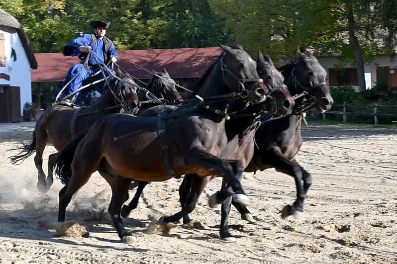 Countryside ranch, horse show & lunch - The one-hour ride into the Great Plain
