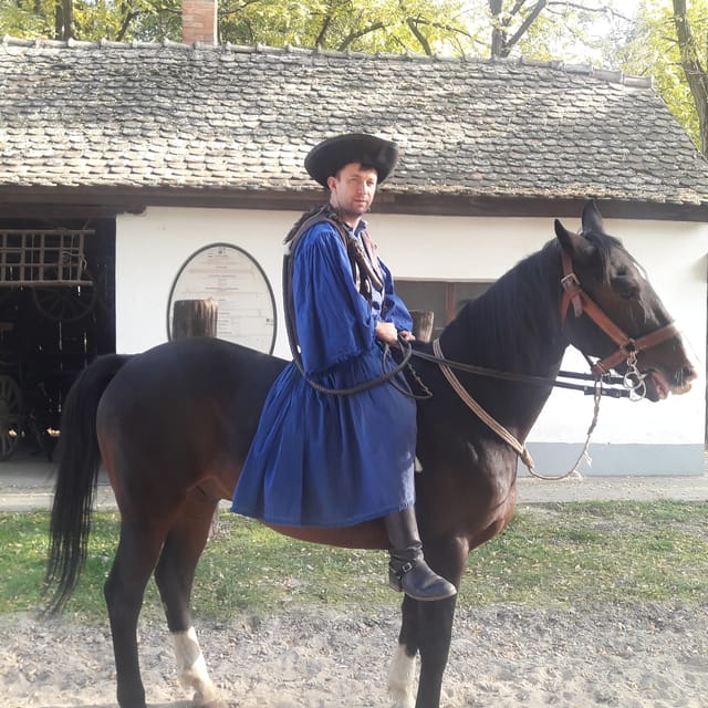 Countryside ranch, horse show & lunch - Goulash, strudel, and a shot of palinka