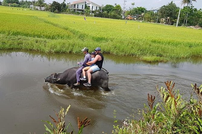 Countryside Tour of Hoi An, Basket Boat, Buffalo ride, Farming with local Farmer - Is $57.12 per person fair?
