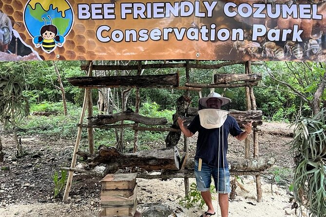 Cozumel: Hands-On Chocolate, Tortilla, Salsa & Honey Experience - Key points to know before booking