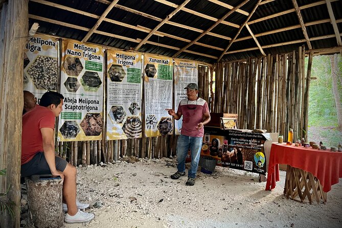 Cozumel: Hands-On Chocolate, Tortilla, Salsa & Honey Experience - Meeting the Melipona bees and tasting two honeys
