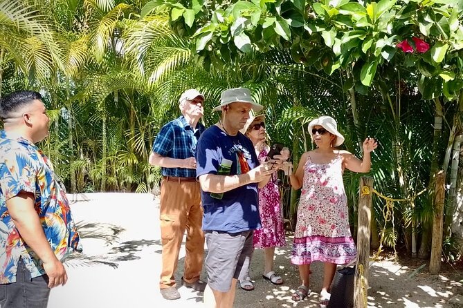 Cozumel: Hands-On Chocolate, Tortilla, Salsa & Honey Experience - Seasonal liqueurs and the limits of the tasting