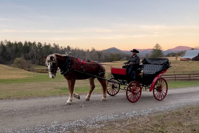 Cozy Farm Experience with Wagon Wheels and Acoustic Meal - A horse-drawn ride to the fire pit
