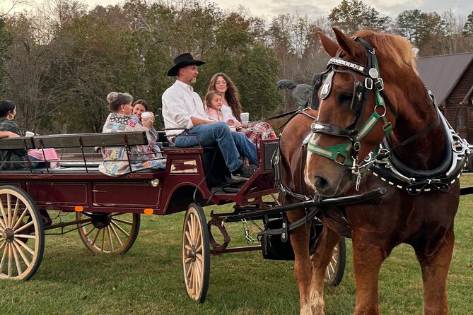 Cozy Farm Experience with Wagon Wheels and Acoustic Meal - Timing, booking, and cancellation details