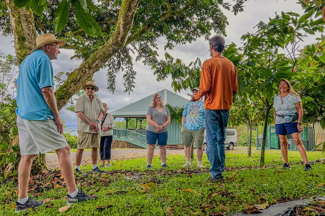 Craft Chocolate Tasting and Farm Experience on the Big Island - A tasting that goes far beyond chocolate bars