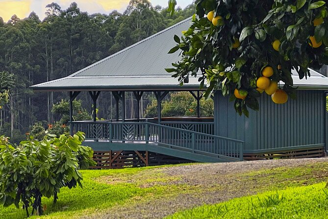Craft Chocolate Tasting and Farm Experience on the Big Island - Why the small group matters
