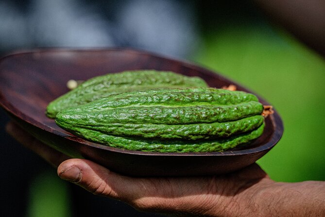 Craft Chocolate Tasting and Farm Experience on the Big Island - The Hilo location is the main planning issue