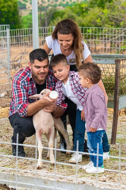 Crete: Farm Visit with Cheese Tasting and Milking Experience - A Working Farm, Not Just a Photo Stop