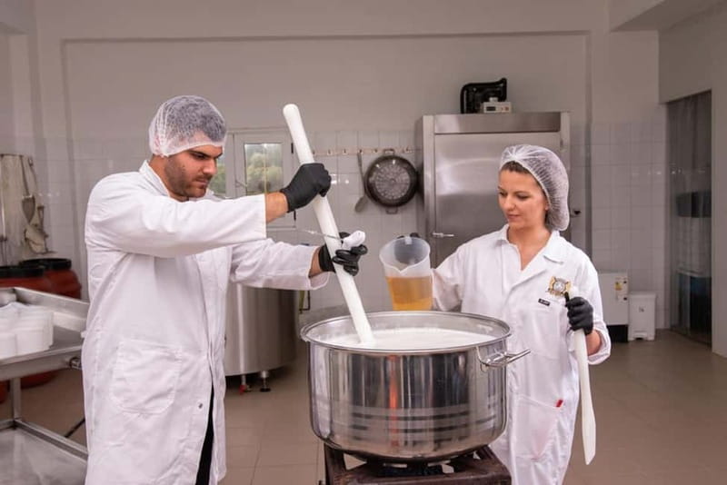 Crete: Farm Visit with Cheese Tasting and Milking Experience - Milking Goats and Sheep by Hand