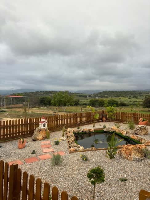 Crete: Farm Visit with Cheese Tasting and Milking Experience - Should You Book Arkadianos Farm?