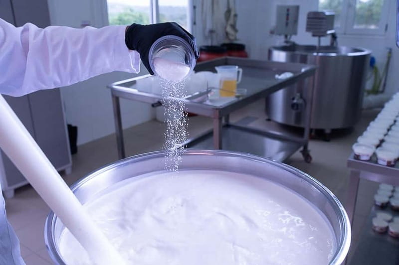 Crete: Farm Visit with Cheese Tasting and Milking Experience - Inside the Traditional Cheese Factory