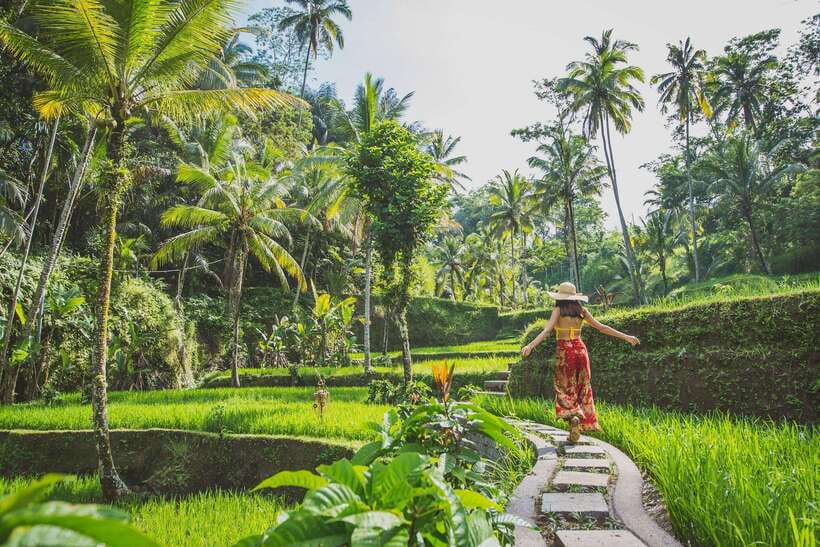 Cretya Ubud, Rice Terrace, Temple & Waterfall Day Tour - What the $32 price really covers