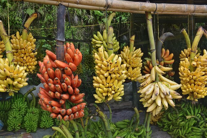 Cuenca to Guayaquil one-way tour with Cajas Park and a Cacao Farm visit - Laguna La Toreadora and the High Cajas
