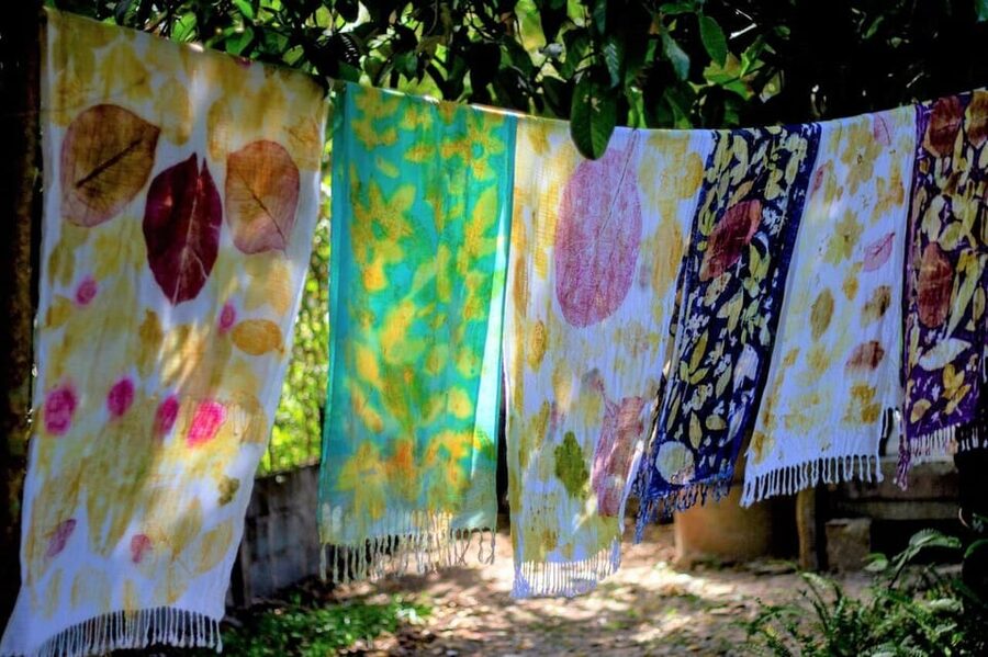 Cultural immersion: Thai cooking, rice farming, eco printing - Who will enjoy this day most