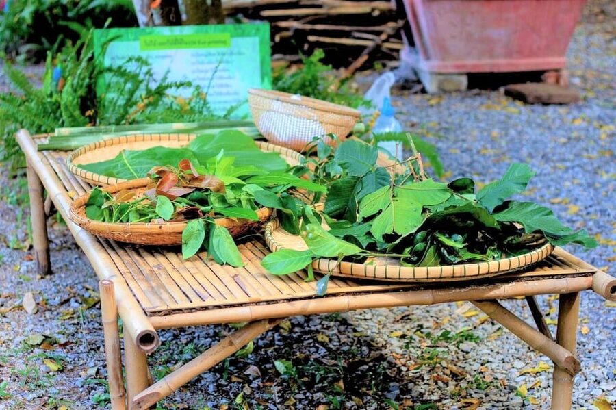 Cultural immersion: Thai cooking, rice farming, eco printing - Starting with snacks at Nakhon Nayok market