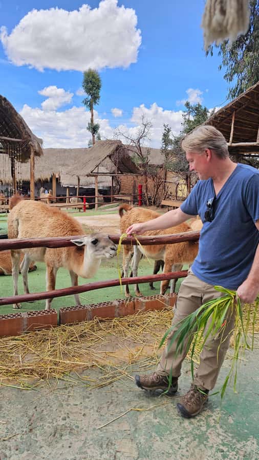 Cusco: Alpaca and Llama Farm Tour w/ Transfer & Weaving Demo - Key points to know before you book