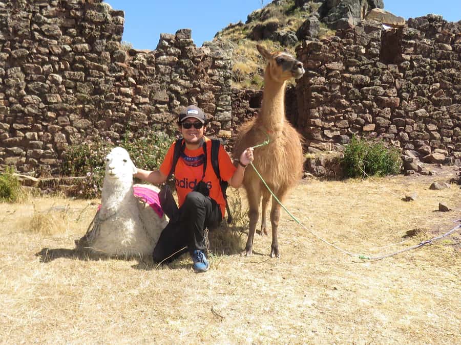 Cusco: Alpaca Therapy in the Cuyo Chico community |Half day| - Meeting the four elements through Andean ritual