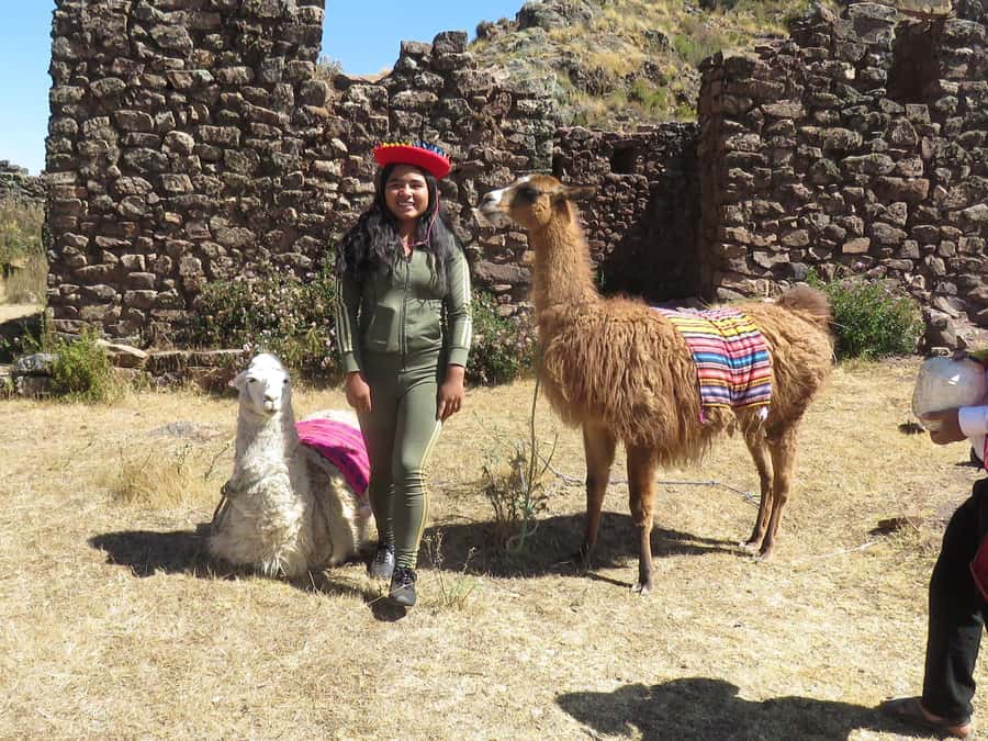 Cusco: Alpaca Therapy in the Cuyo Chico community |Half day| - Time with alpacas as the centerpiece