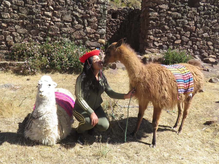 Cusco: Alpaca Therapy in the Cuyo Chico community |Half day| - What the price means at $123 per person