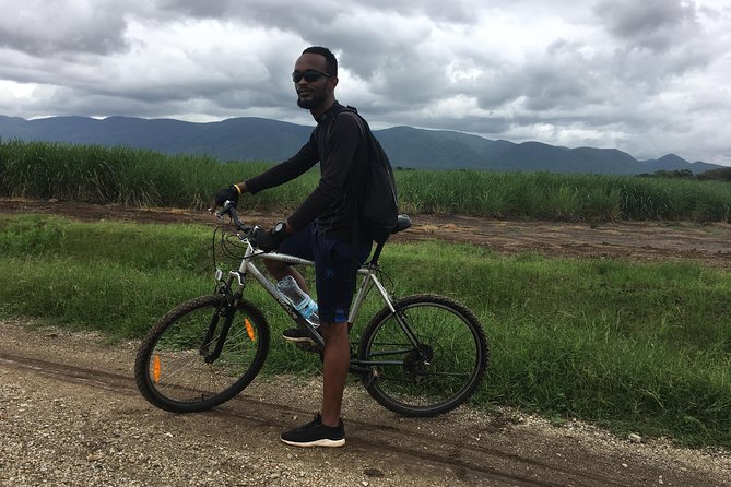 Cycling through the TPC plantations - Key points to know before you book