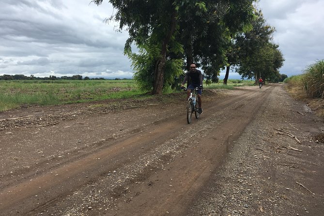 Cycling through the TPC plantations - From Moshi town to the TPC plantation